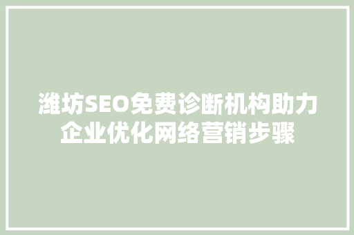 潍坊SEO免费诊断机构助力企业优化网络营销步骤