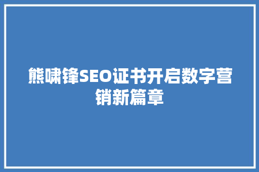 熊啸锋SEO证书开启数字营销新篇章