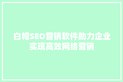 白帽SEO营销软件助力企业实现高效网络营销