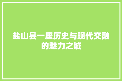 盐山县一座历史与现代交融的魅力之城