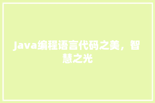 Java编程语言代码之美，智慧之光
