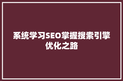系统学习SEO掌握搜索引擎优化之路