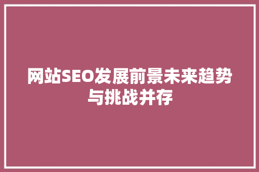 网站SEO发展前景未来趋势与挑战并存