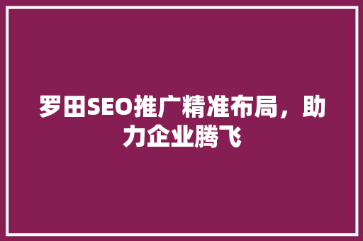 罗田SEO推广精准布局，助力企业腾飞