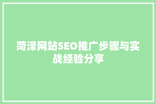 菏泽网站SEO推广步骤与实战经验分享