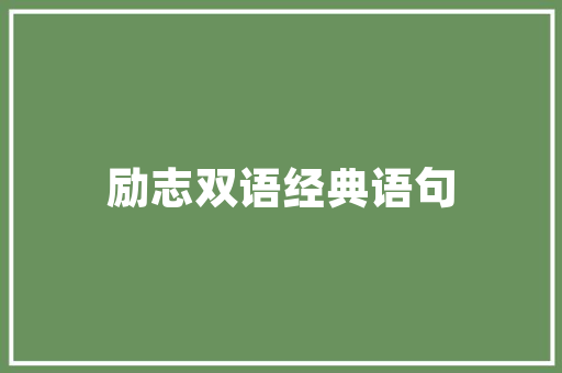 西宁SEO公司优选火星助力企业互联网营销新篇章