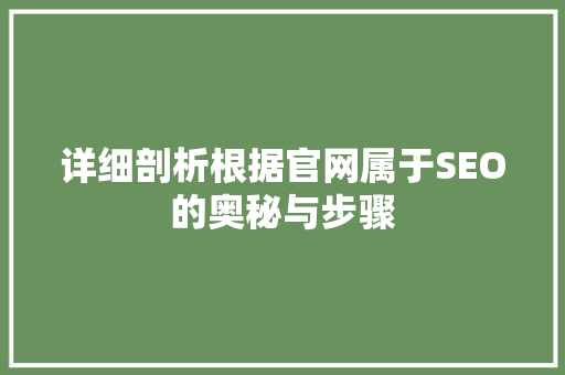 详细剖析根据官网属于SEO的奥秘与步骤
