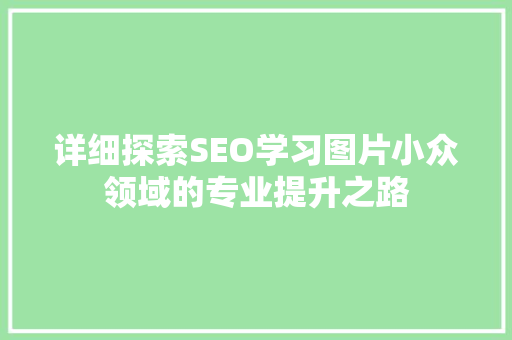 详细探索SEO学习图片小众领域的专业提升之路