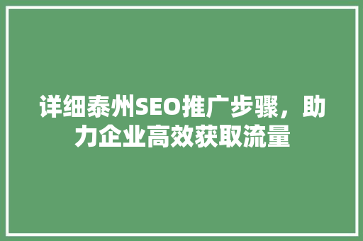 详细泰州SEO推广步骤，助力企业高效获取流量