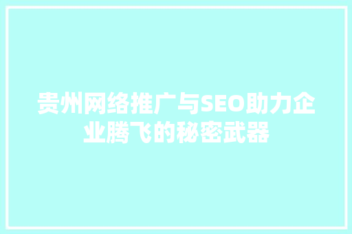 贵州网络推广与SEO助力企业腾飞的秘密武器