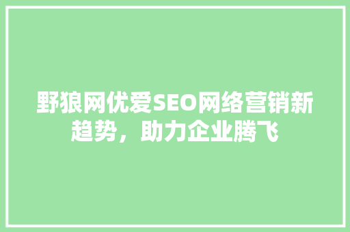 野狼网优爱SEO网络营销新趋势，助力企业腾飞