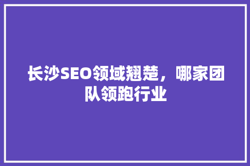 长沙SEO领域翘楚，哪家团队领跑行业
