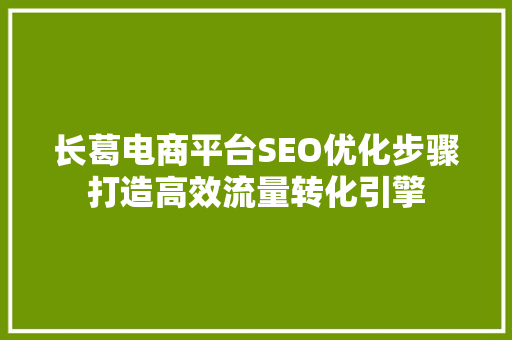 长葛电商平台SEO优化步骤打造高效流量转化引擎