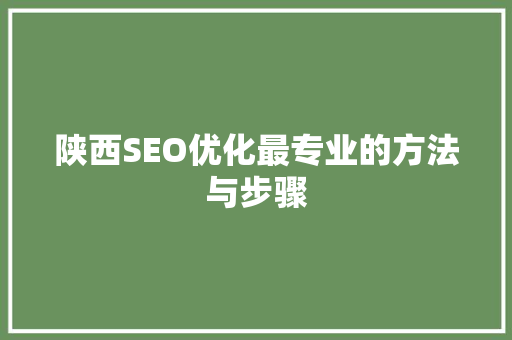陕西SEO优化最专业的方法与步骤
