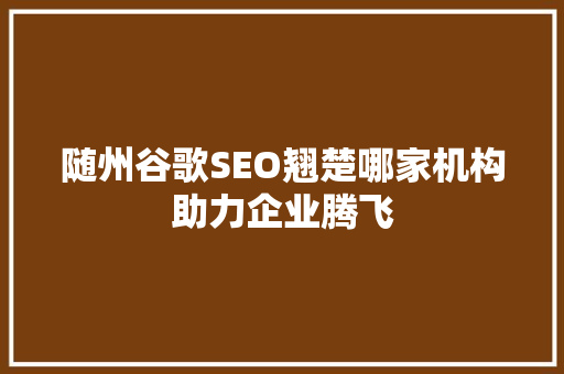 随州谷歌SEO翘楚哪家机构助力企业腾飞