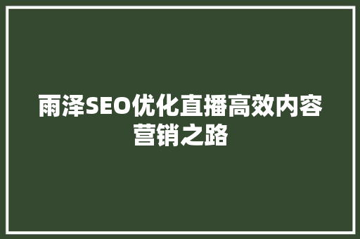 雨泽SEO优化直播高效内容营销之路