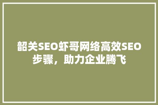 韶关SEO虾哥网络高效SEO步骤，助力企业腾飞