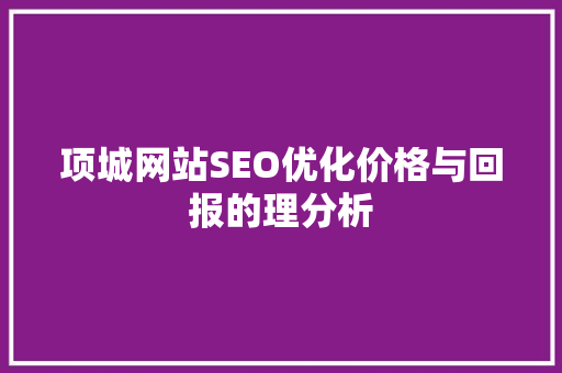 项城网站SEO优化价格与回报的理分析