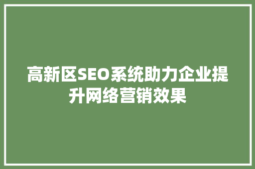 高新区SEO系统助力企业提升网络营销效果