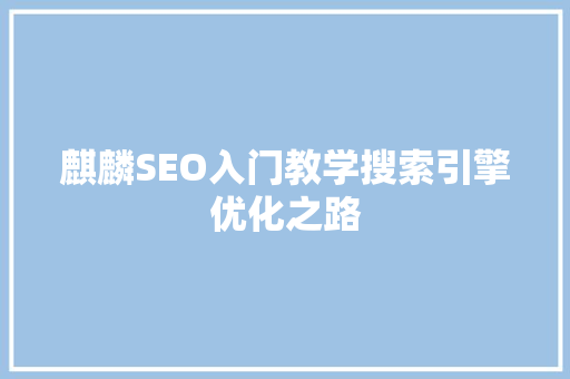 麒麟SEO入门教学搜索引擎优化之路