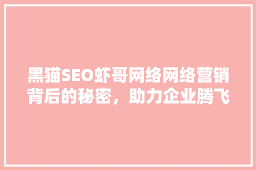 黑猫SEO虾哥网络网络营销背后的秘密，助力企业腾飞