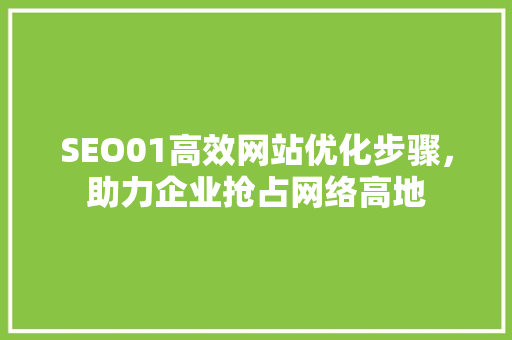 SEO01高效网站优化步骤，助力企业抢占网络高地