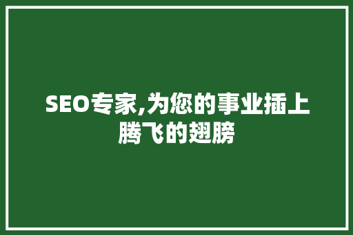 SEO专家,为您的事业插上腾飞的翅膀