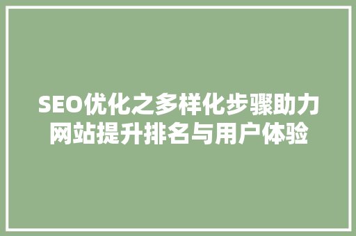 SEO优化之多样化步骤助力网站提升排名与用户体验