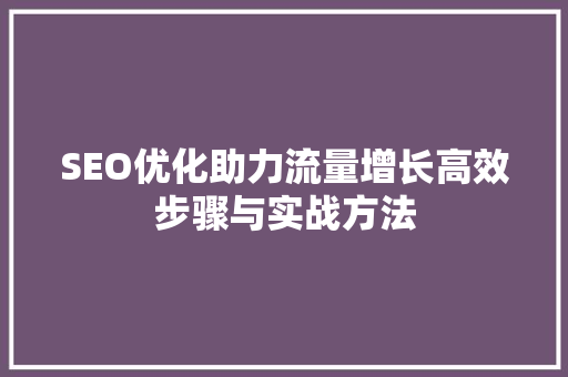 SEO优化助力流量增长高效步骤与实战方法