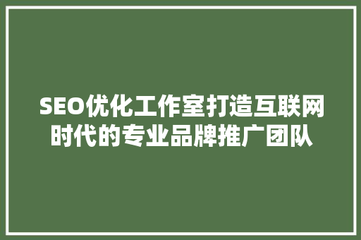 SEO优化工作室打造互联网时代的专业品牌推广团队