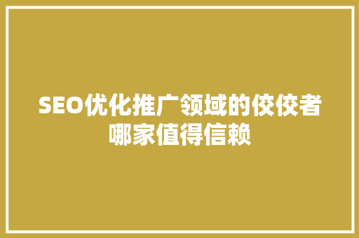 SEO优化推广领域的佼佼者哪家值得信赖