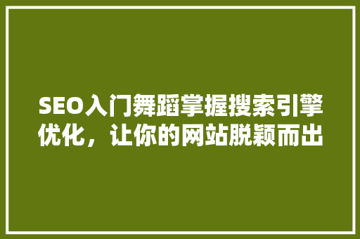 SEO入门舞蹈掌握搜索引擎优化，让你的网站脱颖而出