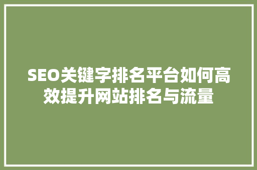 SEO关键字排名平台如何高效提升网站排名与流量