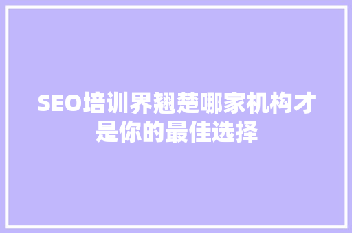SEO培训界翘楚哪家机构才是你的最佳选择