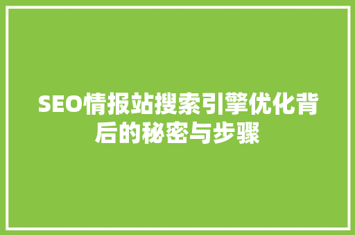 SEO情报站搜索引擎优化背后的秘密与步骤