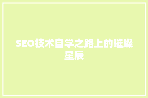 SEO技术自学之路上的璀璨星辰