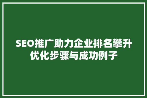 SEO推广助力企业排名攀升优化步骤与成功例子