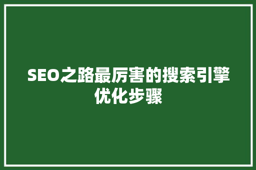SEO之路最厉害的搜索引擎优化步骤  第1张