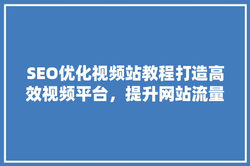 SEO优化视频站教程打造高效视频平台，提升网站流量与影响力