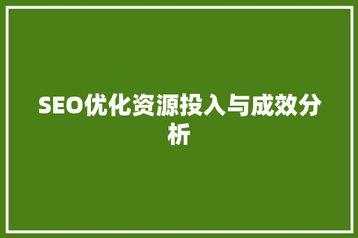 SEO优化资源投入与成效分析