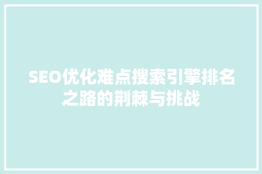 SEO优化难点搜索引擎排名之路的荆棘与挑战