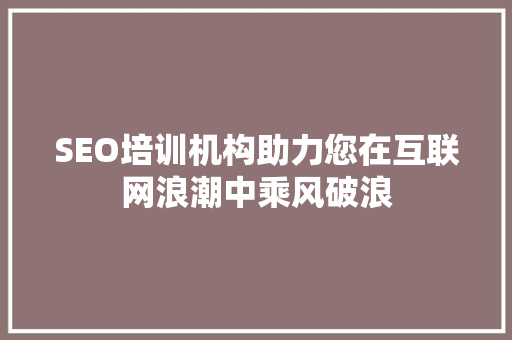 SEO培训机构助力您在互联网浪潮中乘风破浪