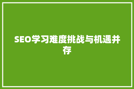 SEO学习难度挑战与机遇并存