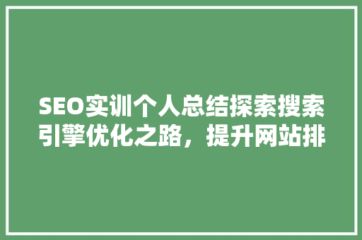 SEO实训个人总结探索搜索引擎优化之路，提升网站排名与用户体验