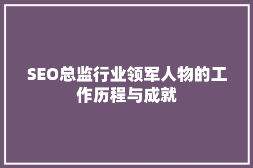 SEO总监行业领军人物的工作历程与成就