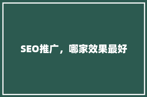 SEO推广，哪家效果最好