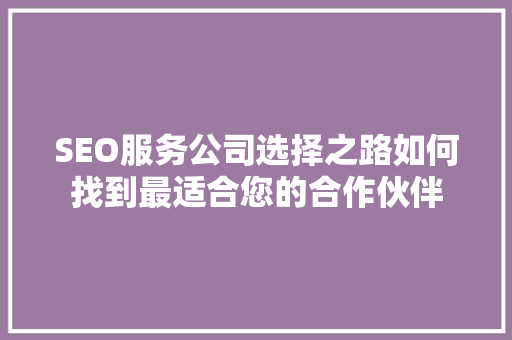 SEO服务公司选择之路如何找到最适合您的合作伙伴