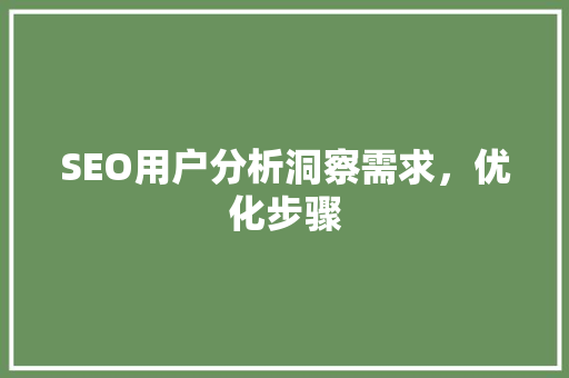 SEO用户分析洞察需求，优化步骤