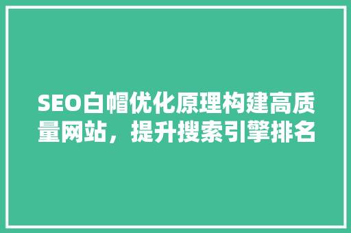 SEO白帽优化原理构建高质量网站，提升搜索引擎排名