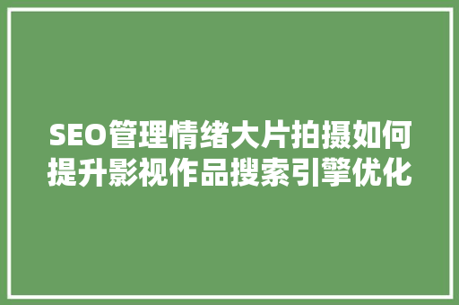 SEO管理情绪大片拍摄如何提升影视作品搜索引擎优化效果